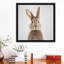 «Rabbit» - reproduction de photo-52366848-52366849