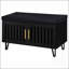 Banc de rangement 2 portes-214001065