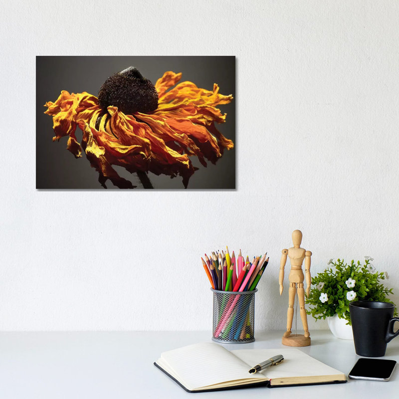Studio Flowers VIII by James McLoughlin - Wrapped Canvas Print, 20.32 cm H x 30.48 cm W