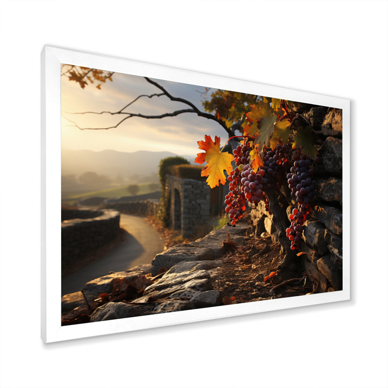 Vineyard Whispering Oaks sur impression sur toile, Cadre photo blanc, H 16 po x l 32 po x P 1 po
