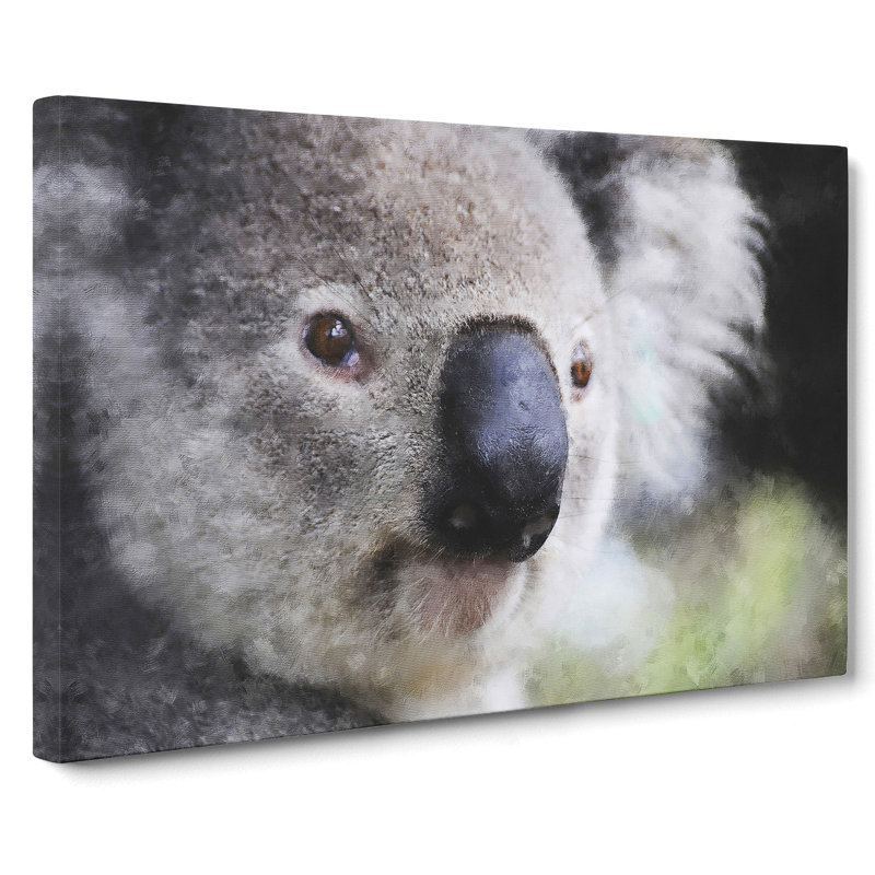 Koala Bear Vol.2 - Wrapped Canvas Print, 35cm H x 50cm W x 3cm D
