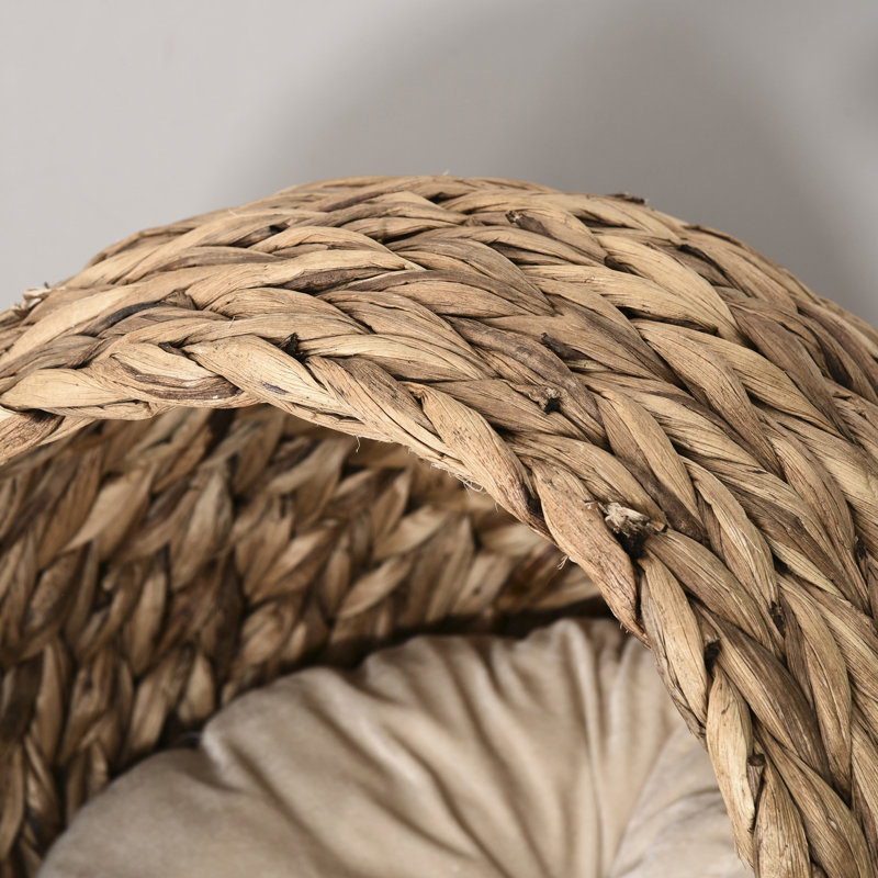 Lit surélevé pour chat avec coussin léger et moelleux, pour chats d'intérieur, H 23,5 po, panier de coussin brun doux