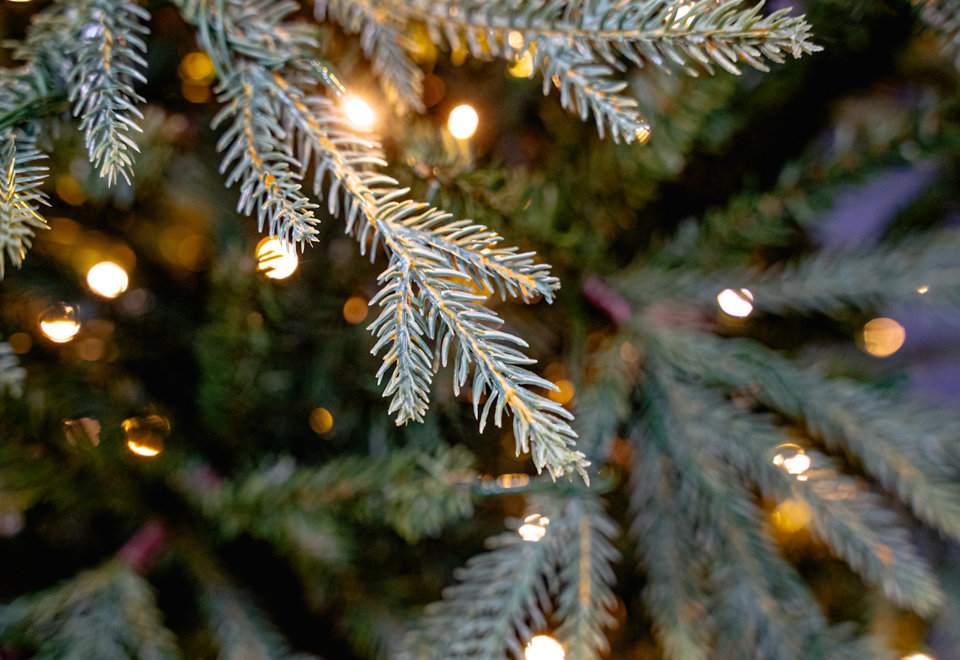 Featuring Natural Touch Tips, moulded from the tips of a real Christmas Tree!