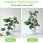 Treillis de plantes pour plantes en pot 2p, treillis de jardin plus grand de 23 po