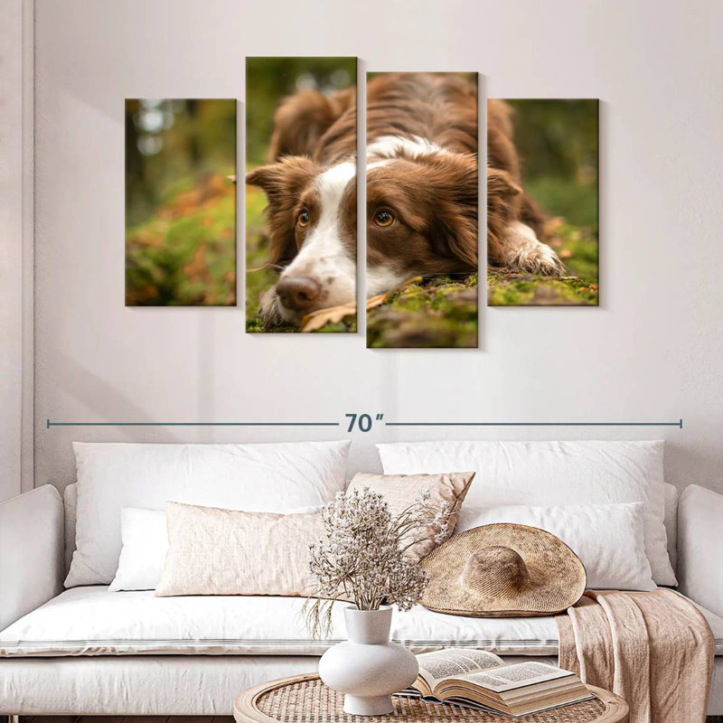 Brampt Lovable Border Collie, 32" H x 52" W
