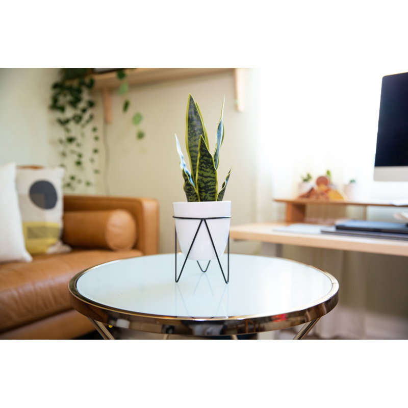 Plante artificielle 15,25 po en pot