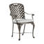 Provance Patio Dining Armchair with Cushion-93663948-83260245-83260219