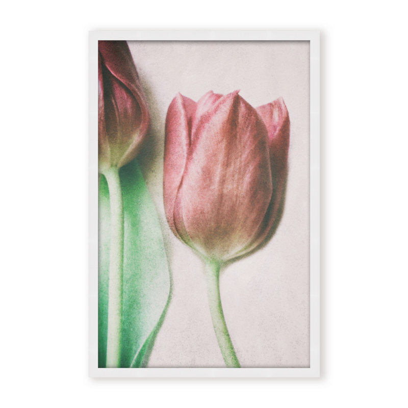 Nature Inspired The Spring Lovers by  - Picture Frame Graphic Art on Paper, 36" H x 24" W x 1.125" D, Framed Matted Print