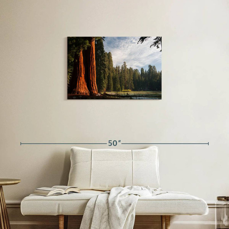 Arbres séquoia Harnek Kings Canyon, H 20 po x l 30 po