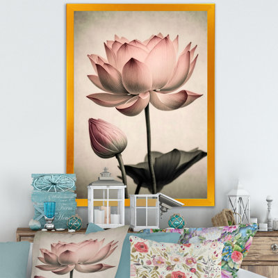Blossoming Pink Vintage Lotus IV - Lotus Canvas Prints