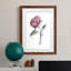 Watercolor Floral Contour III Premium encadré mat - prêt à être accroché-670108983-670108991