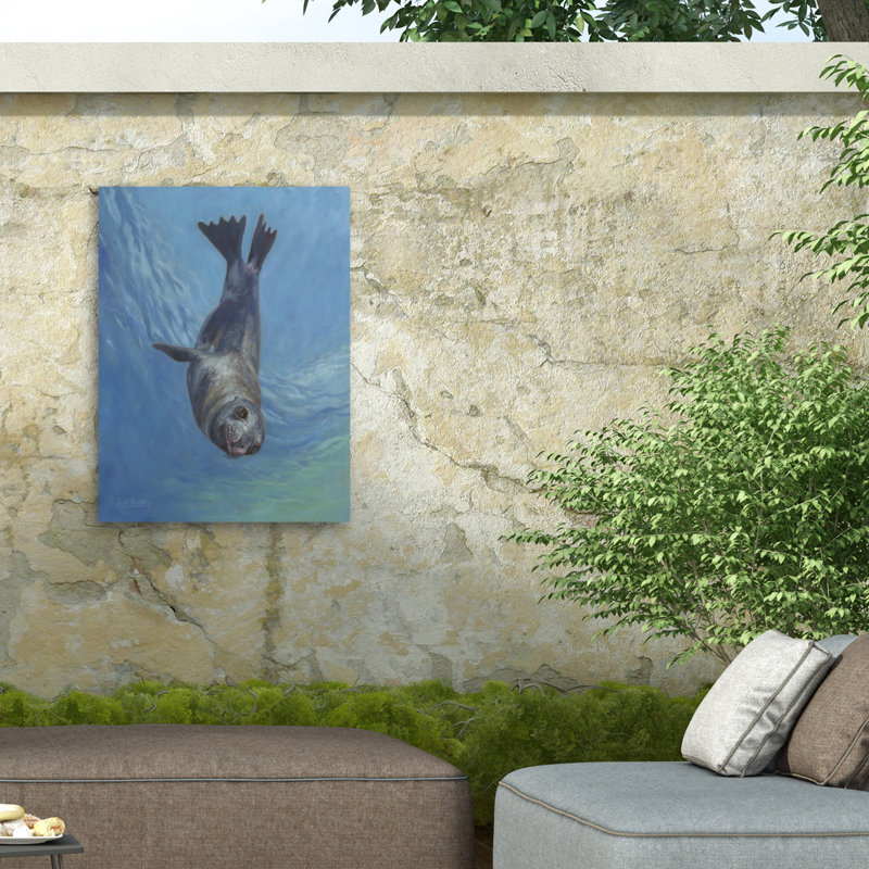Toile d'extérieur David Stribble Sealion Hello, H 24 po x l 32 po