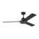 Ebie 52'' Ceiling Fan