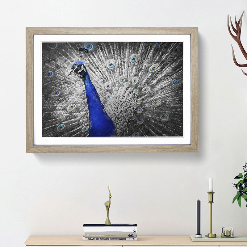 Peacock with Its Feathers Spread - Picture Frame Graphic Art Print, 36cm H x 48cm W x 2cm D, Oak Framed