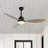 Clarra 52'' Ceiling Fan with LED Lights-1890635367