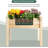 Aant Planter Box