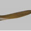 Obsidian Ceiling Fan-2057262028-2097521205