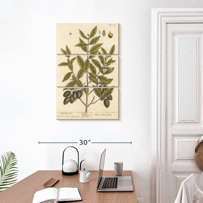 Olive Branch II, 32" H x 20" W