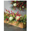 Rameau Brundage Berries