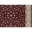 Elegance Oriental Area Rug