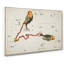 Astronomical Zodiac Chart of the Pisces - Wrapped Canvas Drawing Pint - Wrapped Canvas-55367896