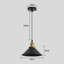 Ambia 1 - Light Cone Pendant Light