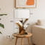 72cm H x 35cm W Standard Bookcase
