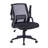 Ergonomic Office Mesh Chair, Black