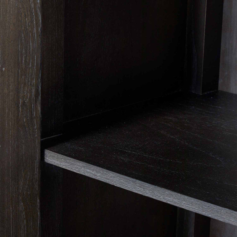 Ezekiel 2 - Door Accent Cabinet, Cerused Forest Black