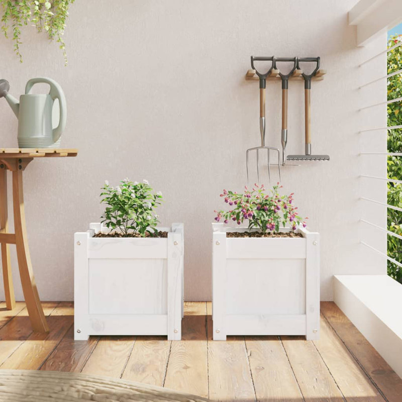 Ander Planter, 2, White Pine