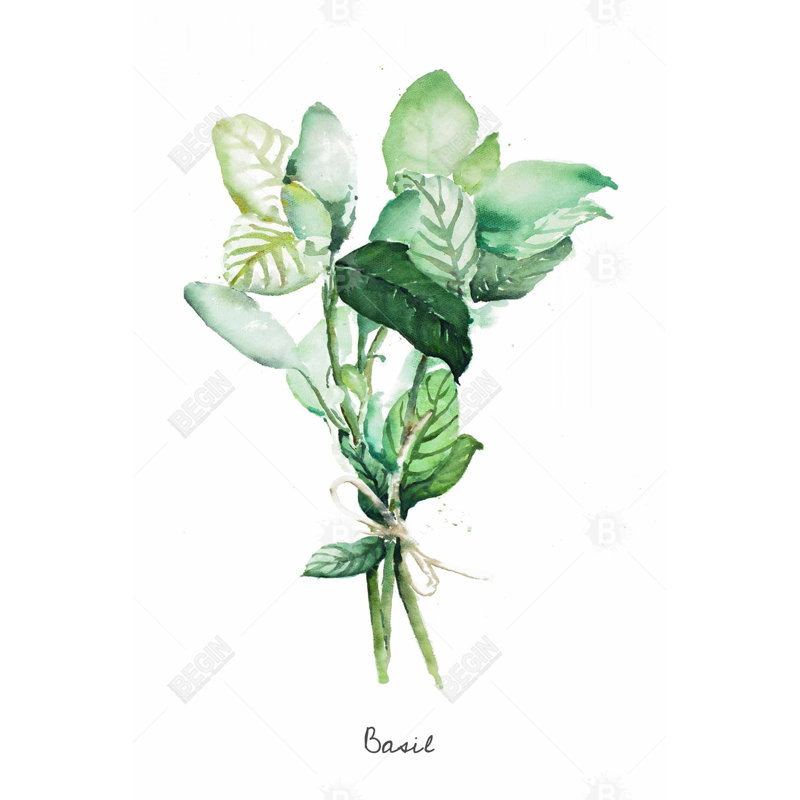 " Tied Up Basil Leaves Bundle - En "