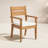 Carenen Solid Teak Wood Armchair with Cushion