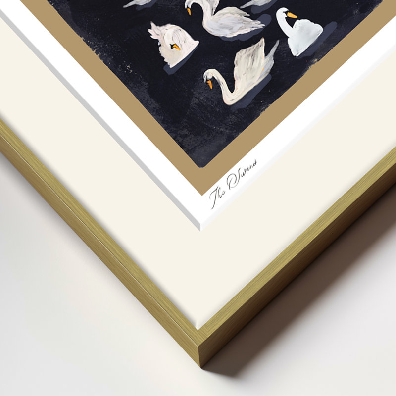 Les cygnes - un assemblage gracieux de cygnes blancs sur les eaux profondes de minuit | H 24 po x l 32 po | Cadre doré, Doré