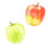 " Watercolor Apples " Painting Print