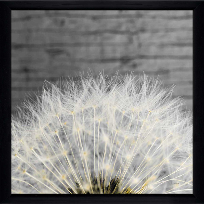 " Delicate Dandelion ", Black Framed, 31.5" H x 31.5" W x 1" D