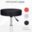 Adjustable Height Lab Stool