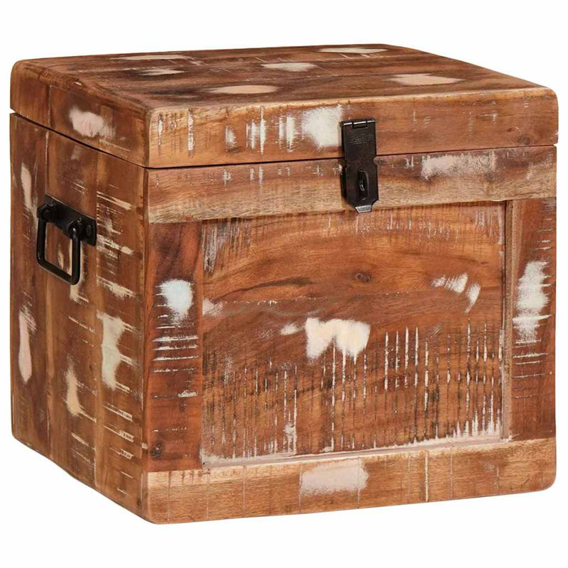 Storage Box with Storage with Door with Lock Brown Trunk Indoor Bedroom, Multicolour
