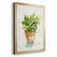 «Succulent I», reproduction encadrée de qualité supérieure, prête à être accrochée-88287024-88287025