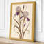 Iris Study Botanical - Wrapped Canvas-714138626-714138637