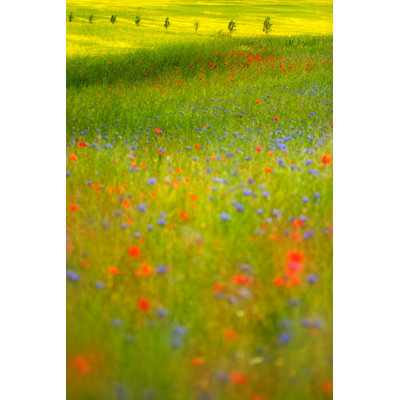 Summer Meadow by AVTG - Print