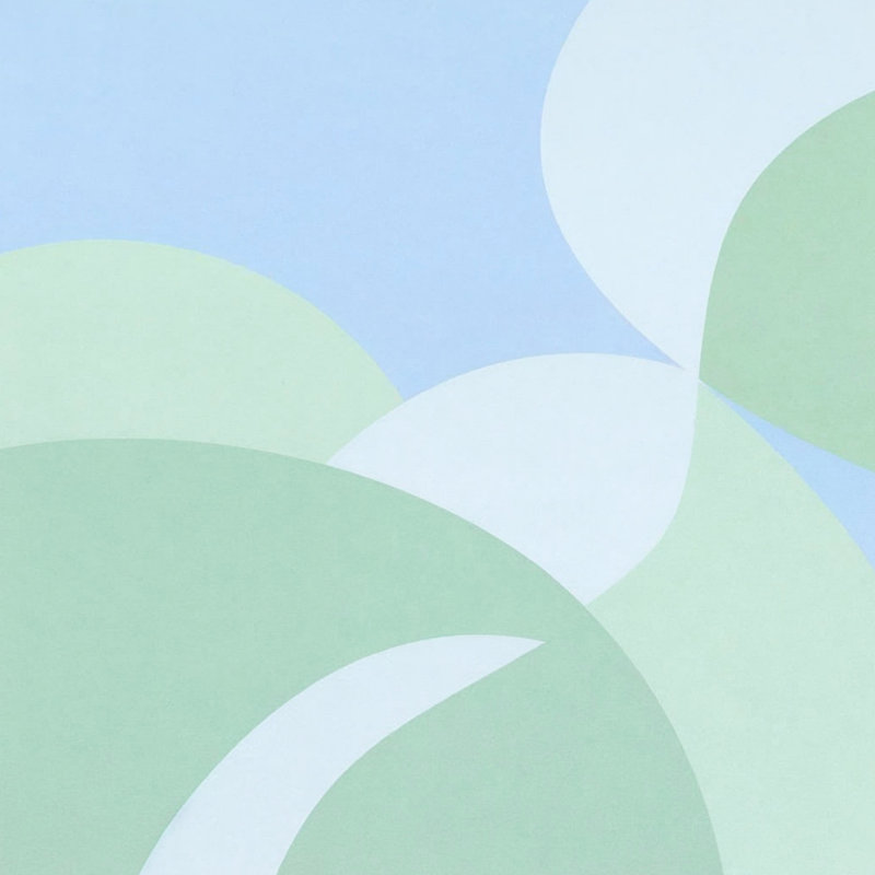 Coussins décoratifs courbés à formes géométriques doubles, 20 x 20 pouces, Bleu clair clair menthe douce