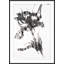 Plants & Flowers Print by Studio L57 Affinity-1411586465