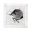 Serviettes de table en satin de coton Zodiac Taurus-591651854