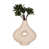 Textured Ivory/Beige