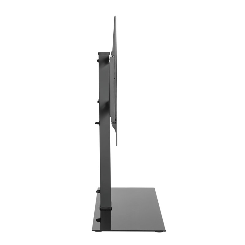 Raritan Symple Stuff Single Screen Electronic Mount