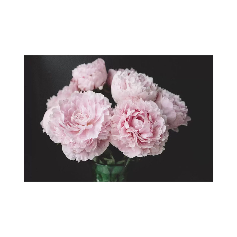 Peonies III by Chelsea Victoria - Wrapped Canvas Print, 101.6 cm H x 66.04 cm W x 3.175 cm D