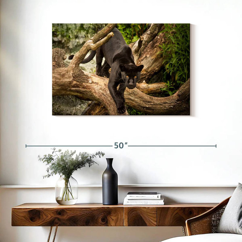Brampt Prowling Black Jaguar