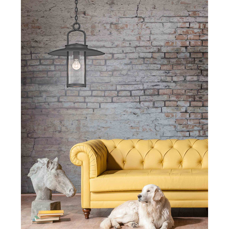 Luminaire suspendu suspendu 1 lumière Megerle pour l'intérieur ou l'extérieur avec abat-jour cylindrique en verre transparent