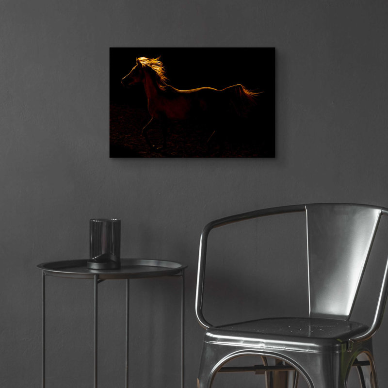 «Rim Light» par Susan Friedman, H 16 po x l 24 po