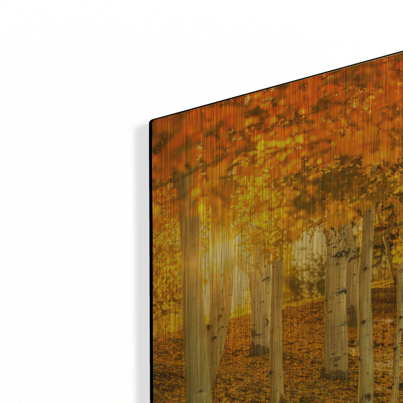 « Aspen Glow » de Jonathan Ross, tableau mural en métal doré, 30,5 x 40,5 cm, 12 po x 16 po